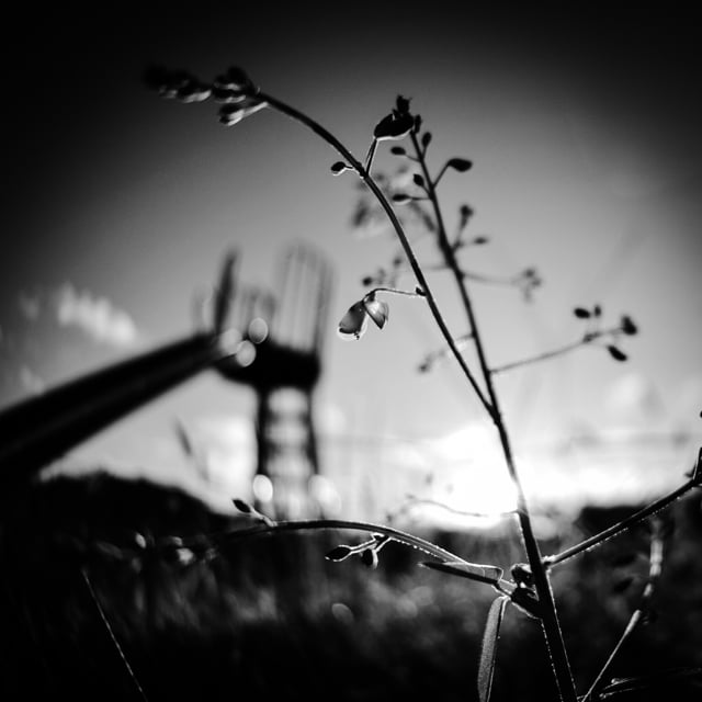 SOAR Limited Liability Company