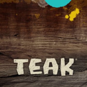 Vimeo profile picture for @teak