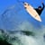 Sunova Surfboards