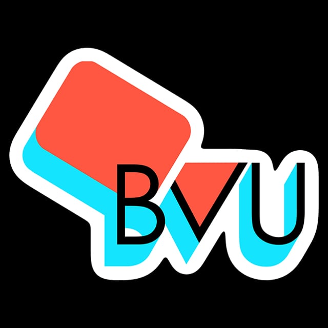 Bvu Ltd
