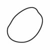Bright Potato
