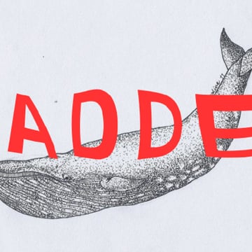Vimeo profile picture for @madder