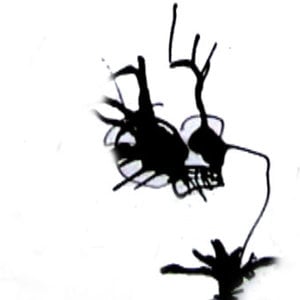 Profile picture for marianne magne