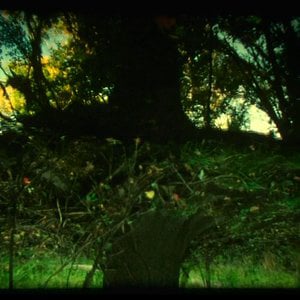 Profile picture for Benjamin Schultz-Figueroa