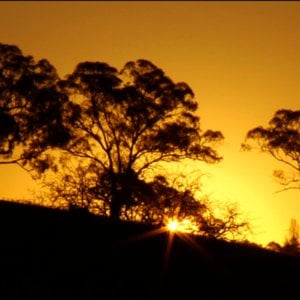 Profile picture for Digicrew Australia