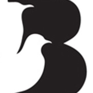 Profile picture for Birdhouse Films