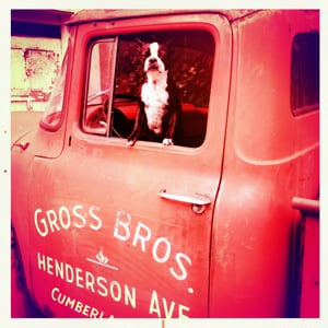 Profile picture for Cain DeVore