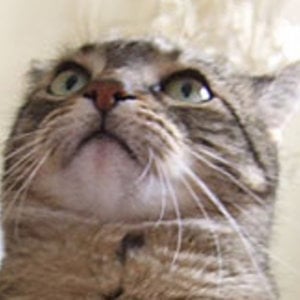 Profile picture for Scot Andreason