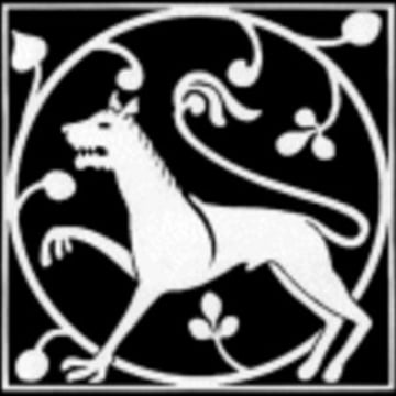 Vimeo profile picture for @museum
