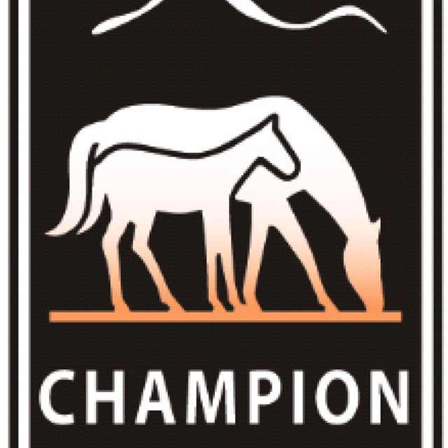 champion gf71