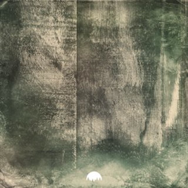 Merino | Woods N Bass Records