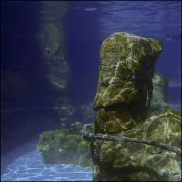 Vimeo profile picture for @familiars