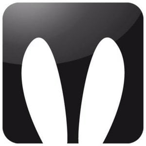 Profile picture for Rabbit World