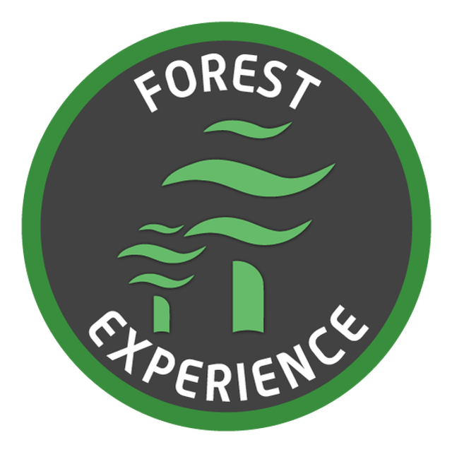 Forest Experience