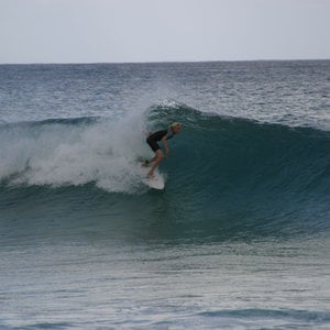 Profile picture for George Gleason