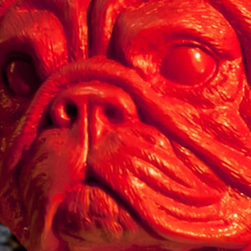 Vimeo profile picture for @bang