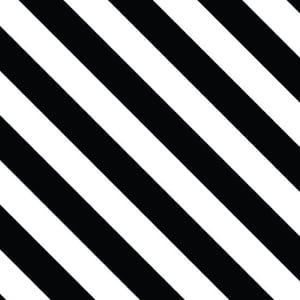 16319873_300x300