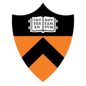 Image result for princeton