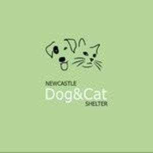  newcastle  dog cat  shelter  on Vimeo