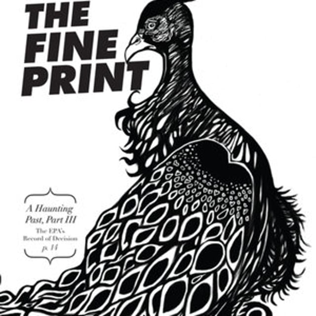 Fine Print