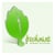 Freshmint Design