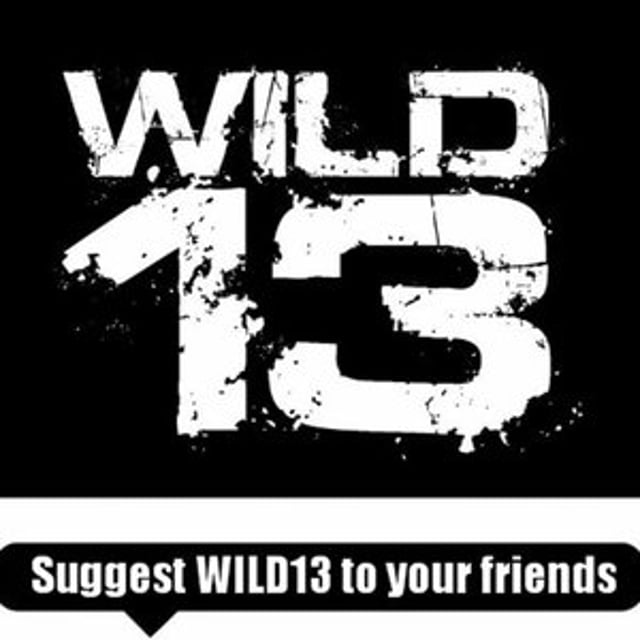 Hay Active Snack the wild 13