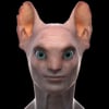 Shaun Sewter
