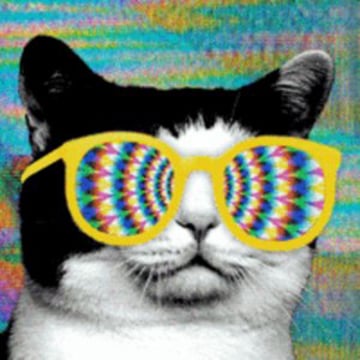 Vimeo profile picture for @boner