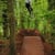 will wiggins