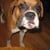 Phil Rodriguez