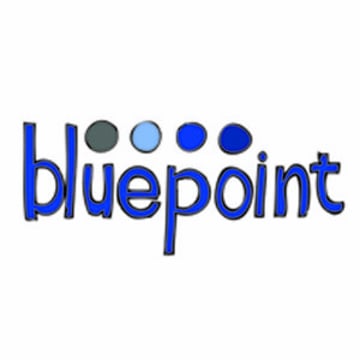Vimeo profile picture for @bluepoint