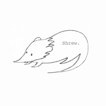 Vimeo profile picture for @shrew