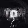 Dmitry Shain
