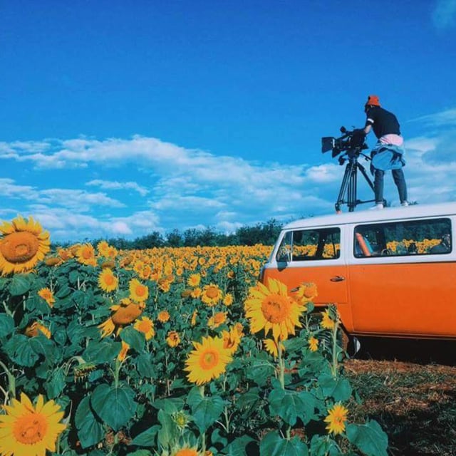 LAM DAO DAO Director