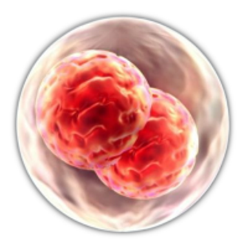 Vimeo profile picture for @reproduction