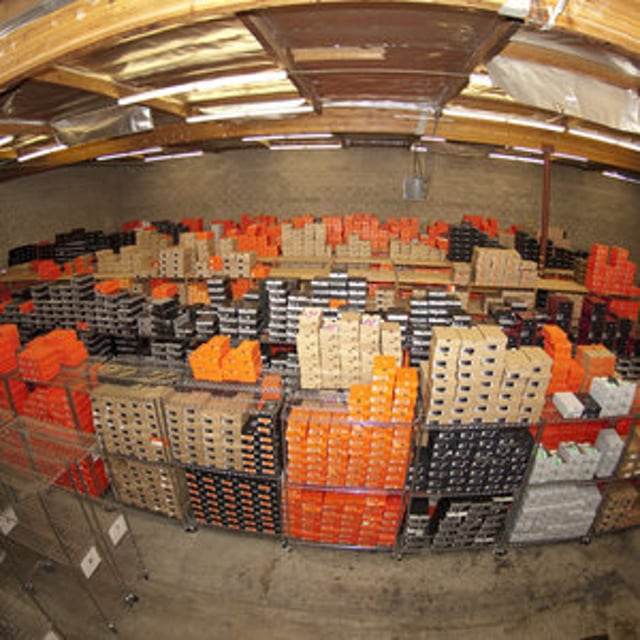 jordy geller shoes collection