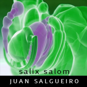 Profile picture for Juan Salgueiro aka "Salix Salom"