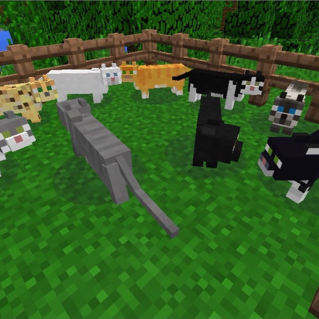 Кот в майнкрафте. Котик майнкрафт. Игру майнкрафт котик. Кот оцелот майнкрафт. Майнкрафт животные.