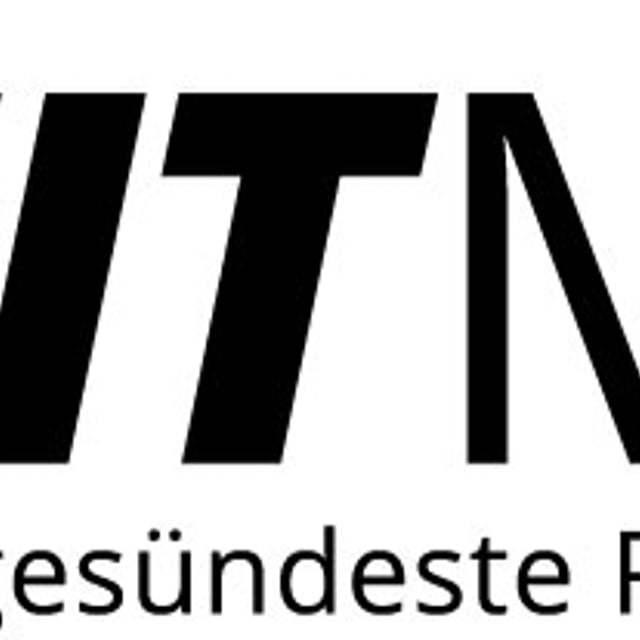 mit fit 2