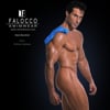 John Falocco