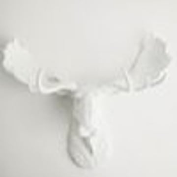 Vimeo profile picture for @dong