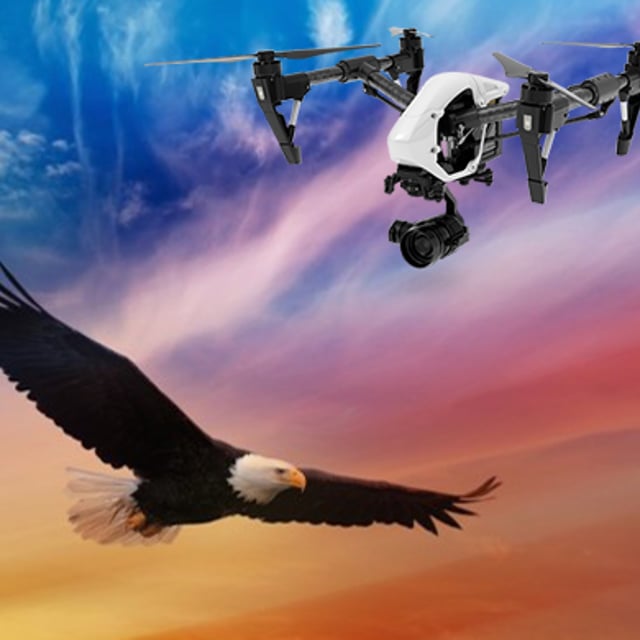 Eagle Drone Imaging