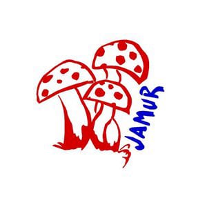 Profile picture for jamur