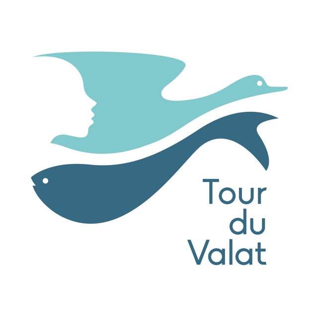 delphine nicolas tour du valat