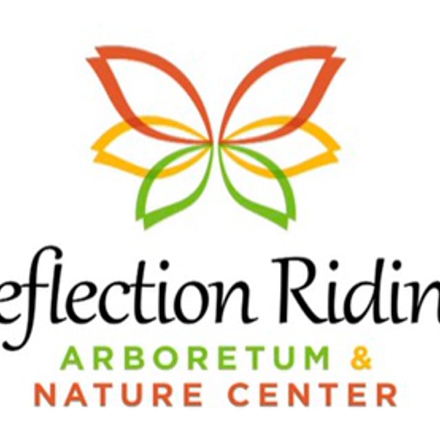 Reflection Riding