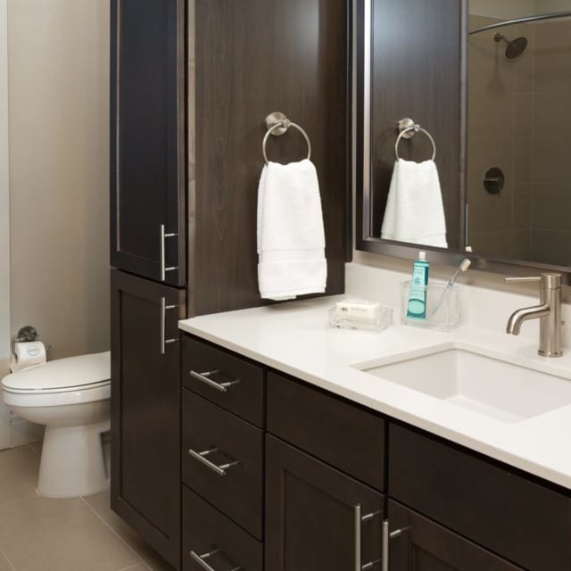 Pet friendly rooms for rent