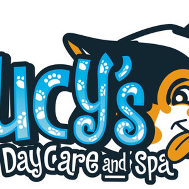 lucy's doggy daycare prices