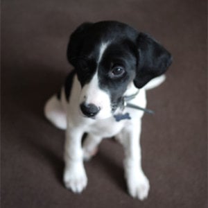 Profile picture for Robert Milne