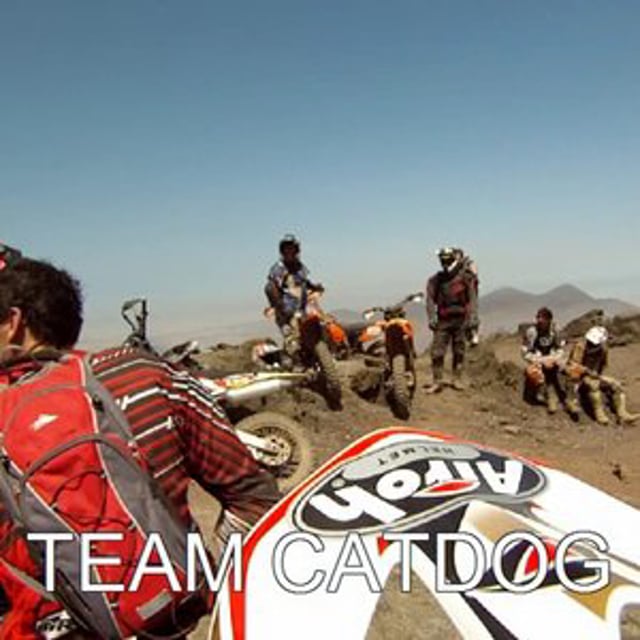 catdog racing