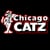 The Chicago Catz